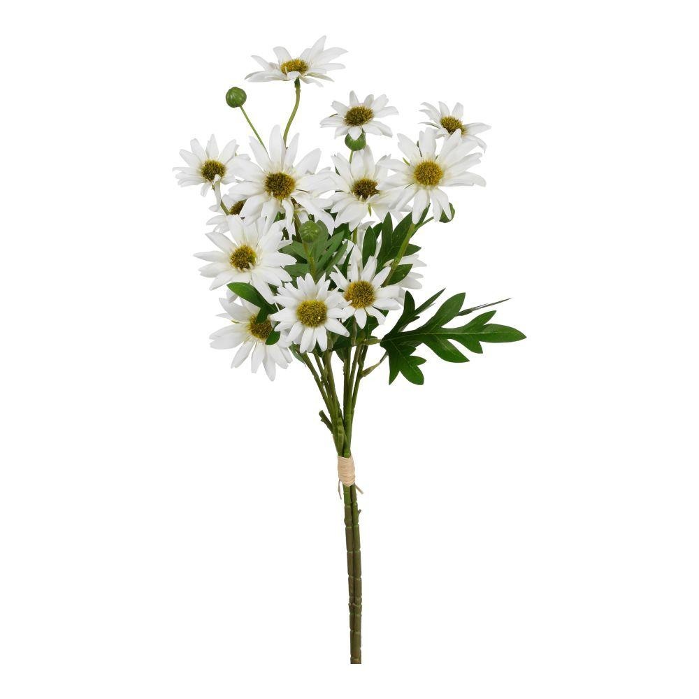 BUNDLE ASTER X 3 WHITE